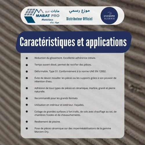 CIMENT COLLE Pegoland Flex C2 TE S1 GRUPOPUMA