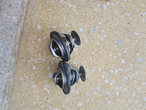 2 thermostat d origine france