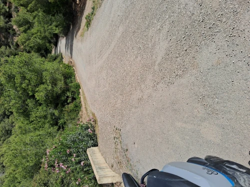 Vente Terrain Tipaza Larhat