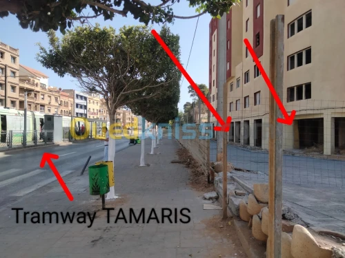 Location Local Alger Mohammadia