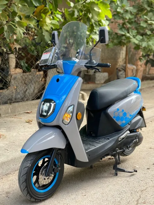 Vms Estate X 2025