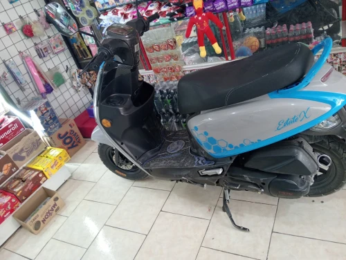 Vms Vms 2024