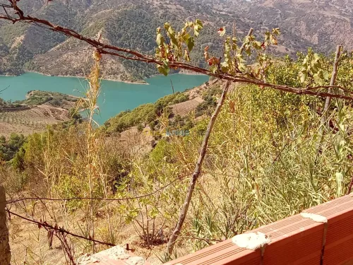 Vente Villa Tipaza Damous