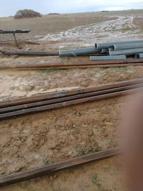 Vente Terrain Agricole Djelfa Sidi baizid