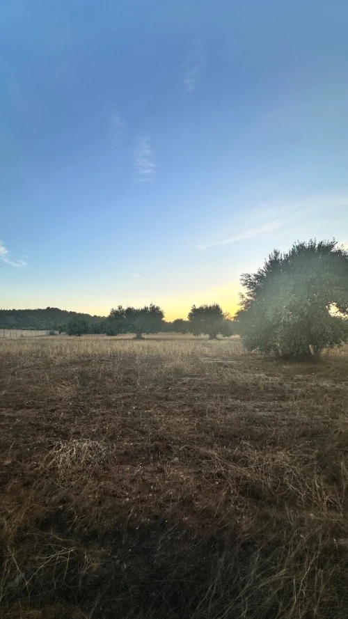 Vente Terrain Agricole Bouira Mchedallah