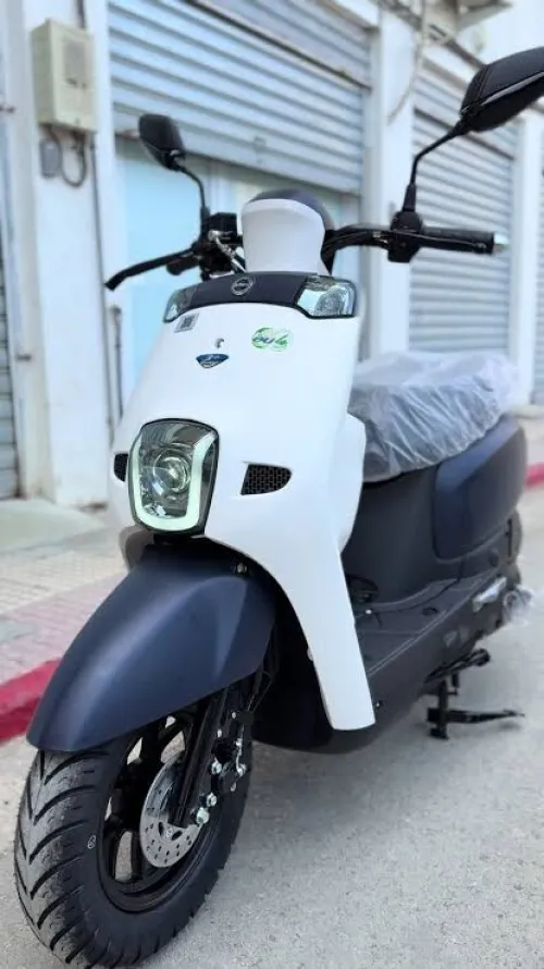 Vms Cuxi 1 2025