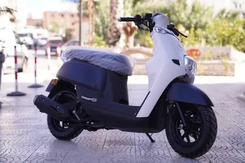 Vms Cuxi 1 2025