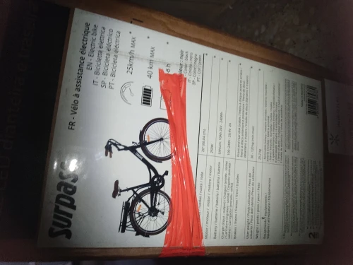 Surpass electric bike Electric bike 2025