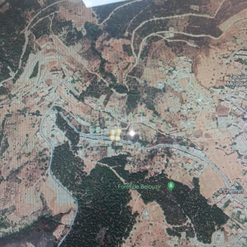 Vente Terrain Béjaïa Seddouk