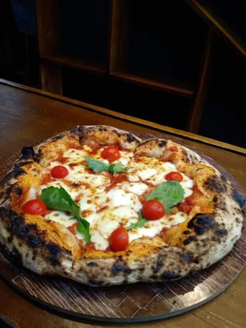 Pizzario +plaquiste  experimenté
