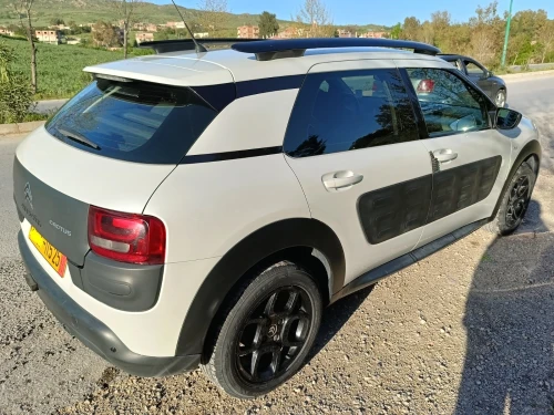 Citroen C4 Cactus 2015 C4 Cactus