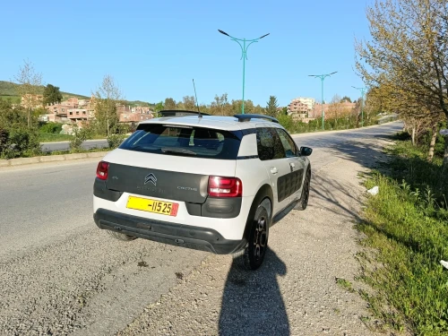 Citroen C4 Cactus 2015 C4 Cactus