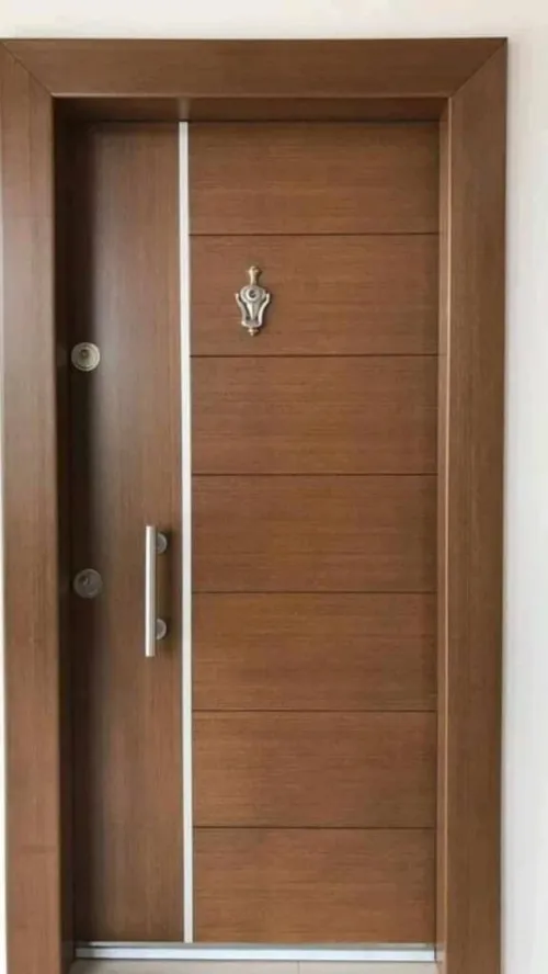 Portes d'entrée modernes 