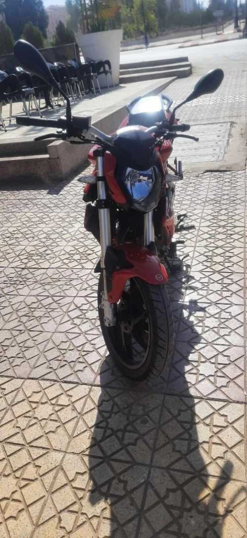 Benelli Tnt 150 2022