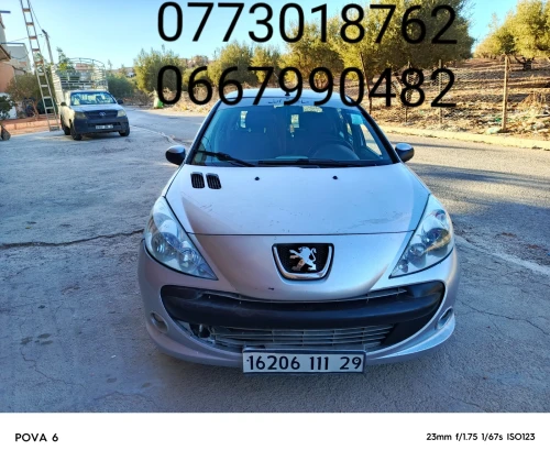 Peugeot 206 Plus 2011 206 Plus