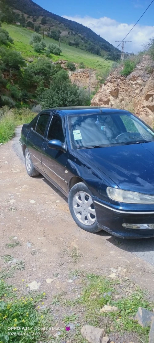 Peugeot 406 2001 406