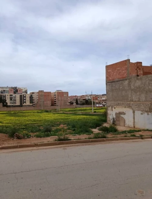 Vente Terrain Mostaganem Mostaganem