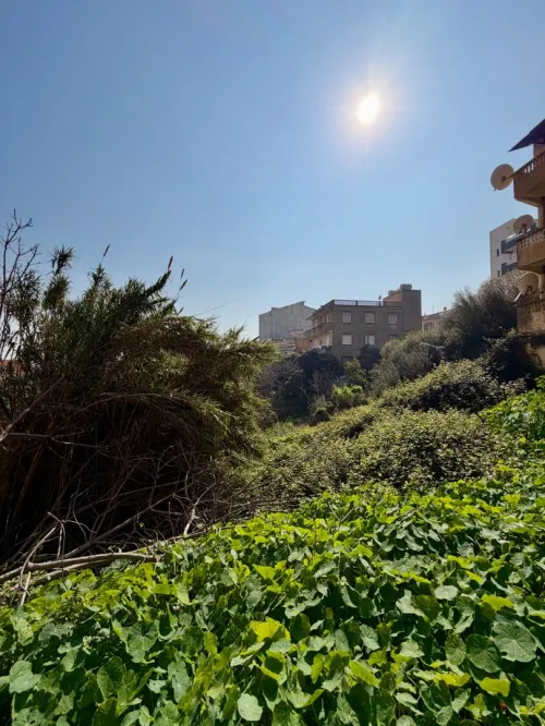 Vente Villa Alger Saoula