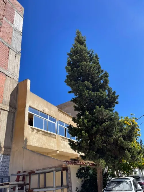Vente Villa Alger Draria