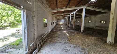 Vente Terrain Agricole Mila Chelghoum laid