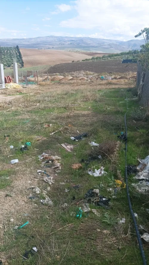 Vente Terrain Mila Oued endja