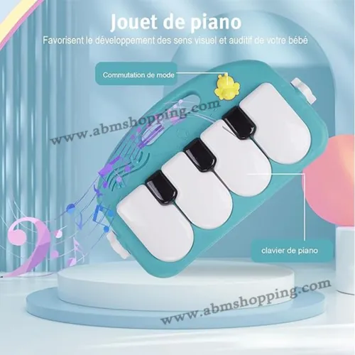 Tapis d éveil musical et trotteur 2en1 | Bibi-inn