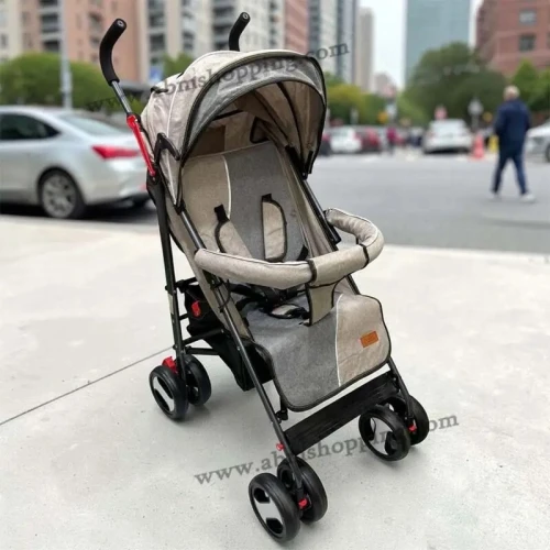 Poussette Canne Pliable Avec Dossier Réglable | Chanou Kids S902