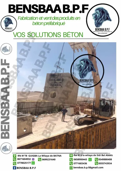 Regard d'assainissement en béton 