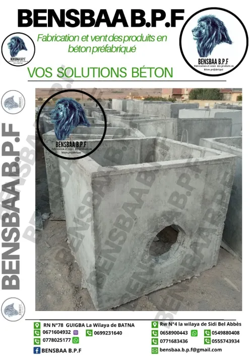 Regard d'assainissement en béton 