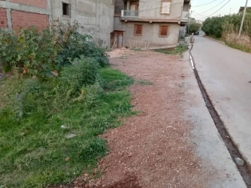 Vente Terrain Tipaza Ain tagourait