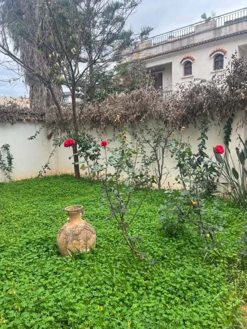 Location Villa Alger Draria