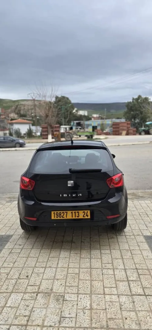 Seat Ibiza 2013 Loca