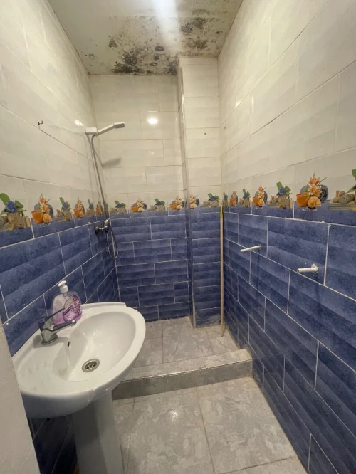 Location Appartement F3 Alger Ain benian