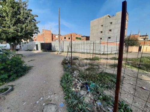 Location Terrain Alger Baraki