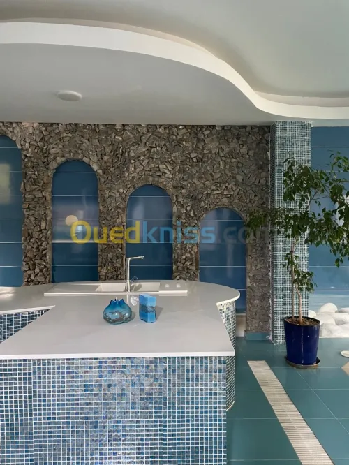 Location Appartement F3 Alger Hydra