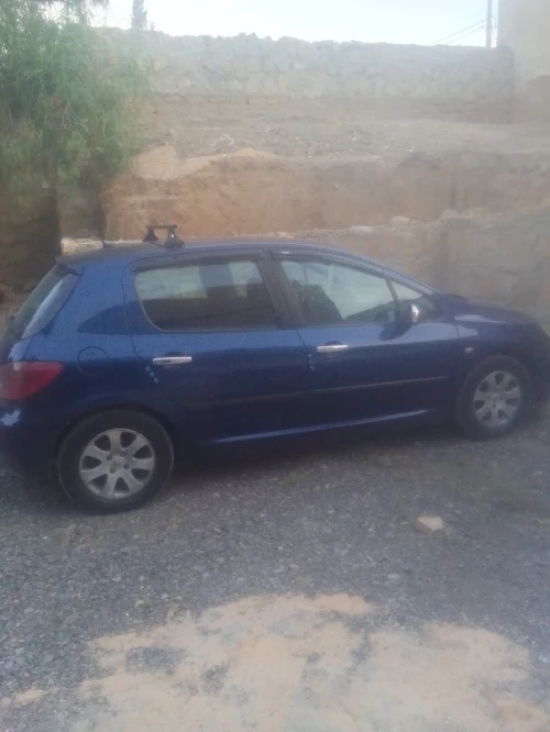 Peugeot 307 2001 XT