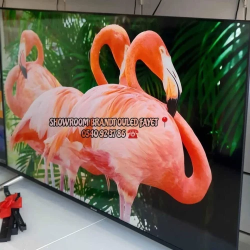 PROMO BRANDT GOOGLE TV 65 Q LED
