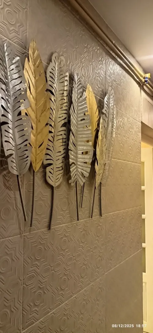 Location Appartement F3 Alger Bir mourad rais
