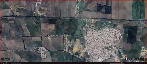 Vente Terrain Alger Tessala el merdja