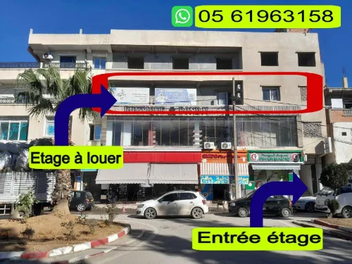 Location Appartement Niveau de villa Boumerdès Issers