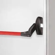 BARRE ANTI PANIQUE ( CISA / ISEO / TESA / NOVOFERM ) et PORTE ISSUE DE SECOURS PORTE COUPE FEU