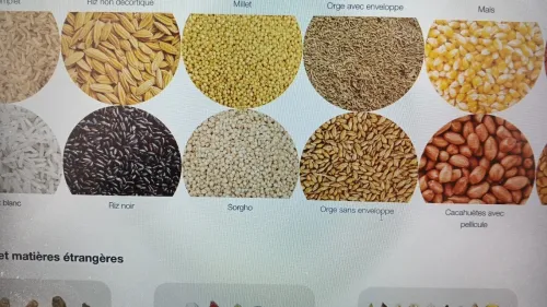 آلة فرز الحبوب
