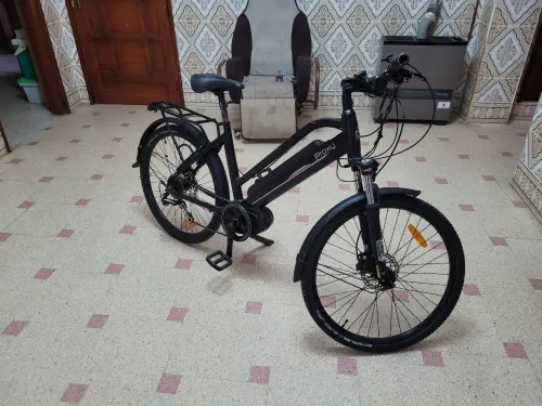 Des Vélos ville  électrique et carbone 