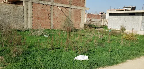 Vente Terrain Blida Ouled selama