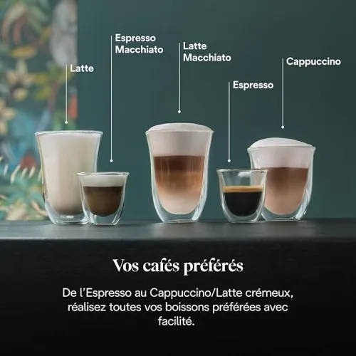 Machine a cafe Delonghi Dedica Arte , Metal , 15 bars , 3 filtres inclus , 1.1L , ec685R