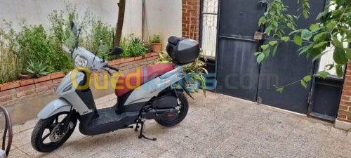 VMS FLASH TWISTER 2023