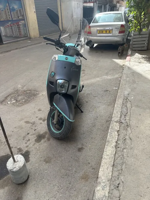 Vms Estate 2021