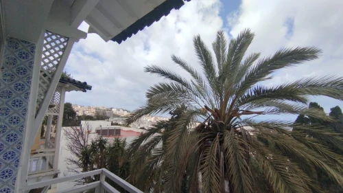 Location Appartement F5 Alger El biar