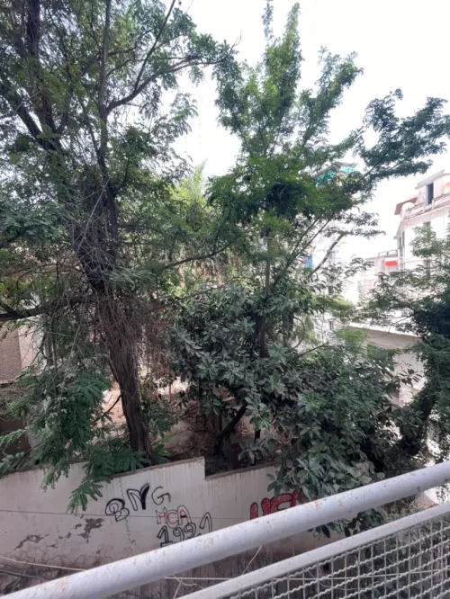 Vente Alger Alger centre