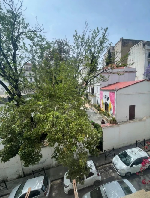 Vente Appartement F2 Alger Alger centre